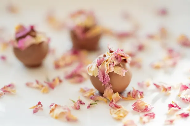 Fever Slots Casino Aip Android/iOS